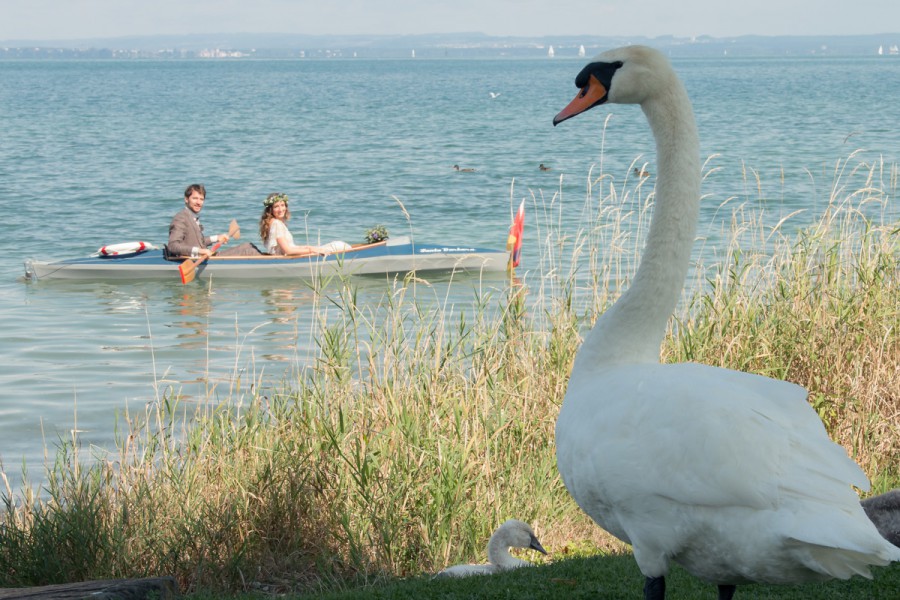 in Wunderschöne Boho-Hochzeit am Bodensee