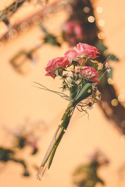 3792812869 in Wunderschöne Boho-Hochzeit am Bodensee